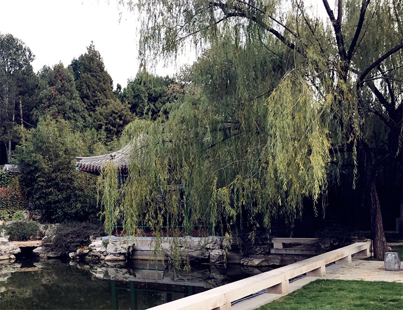 ../Images/Cosmo Chen.Aman Summer Palace (03).jpg